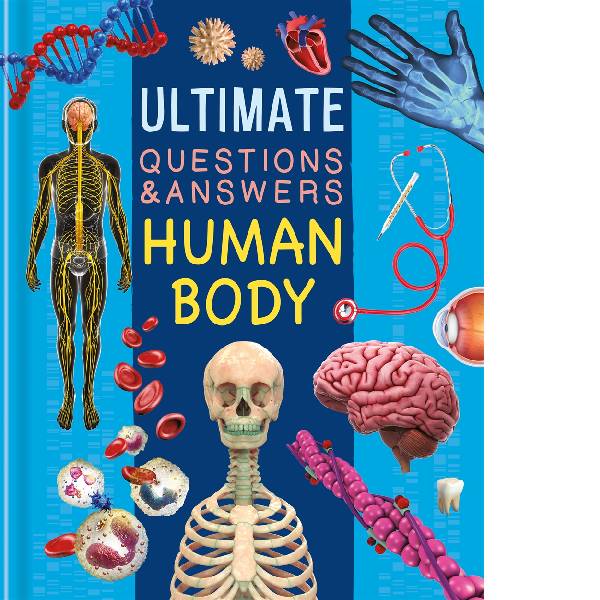 Ultimate Questions & Answers – Human Body