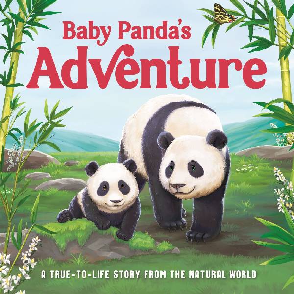 Baby Pandas Adventure Board