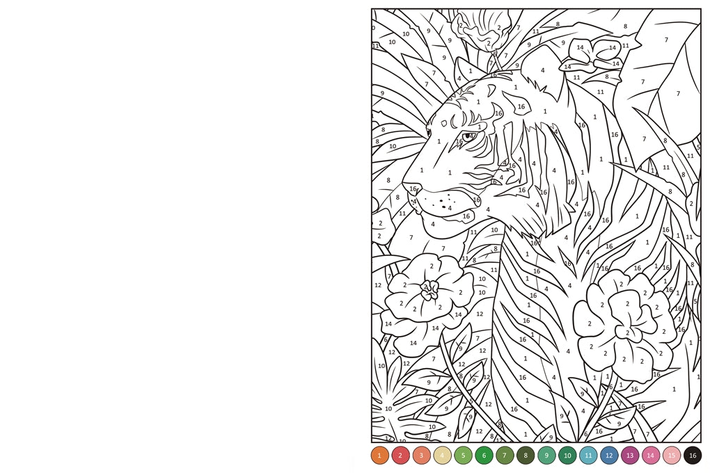 Collage By Numbers Animals
