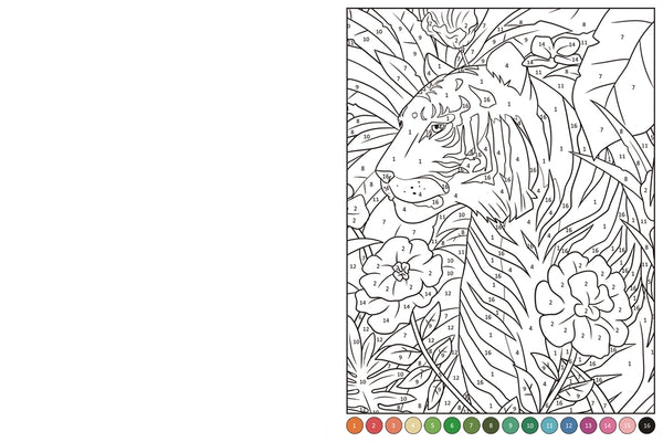Collage By Numbers Animals