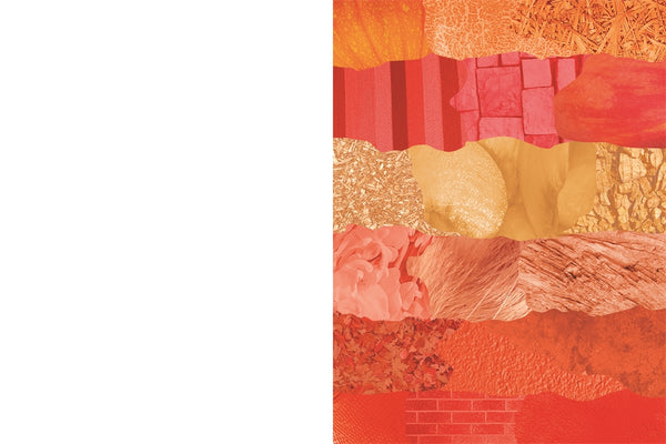 Collage By Numbers Animals