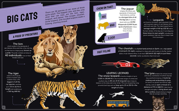 Infographic Animals