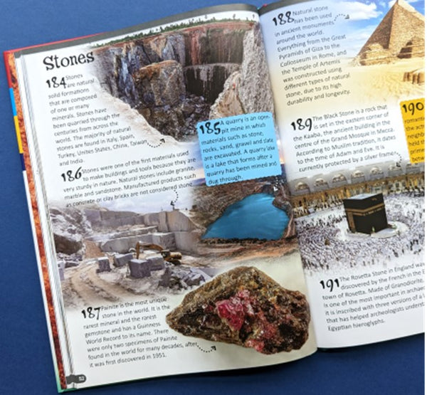 500 Fantastic Facts Rocks & Minerals