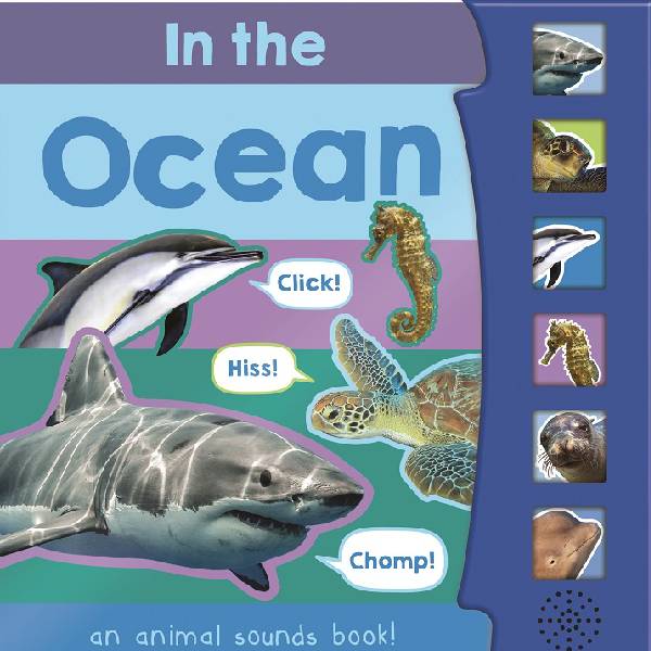 In The Ocean Sound Book