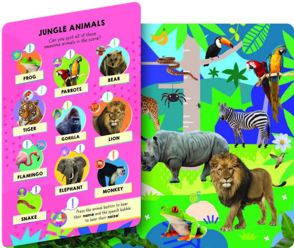 Look and Find Animal Word and Sounds