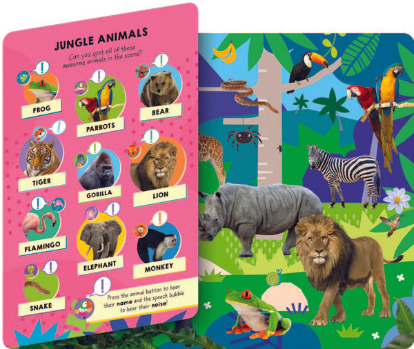 Look and Find Animal Word and Sounds
