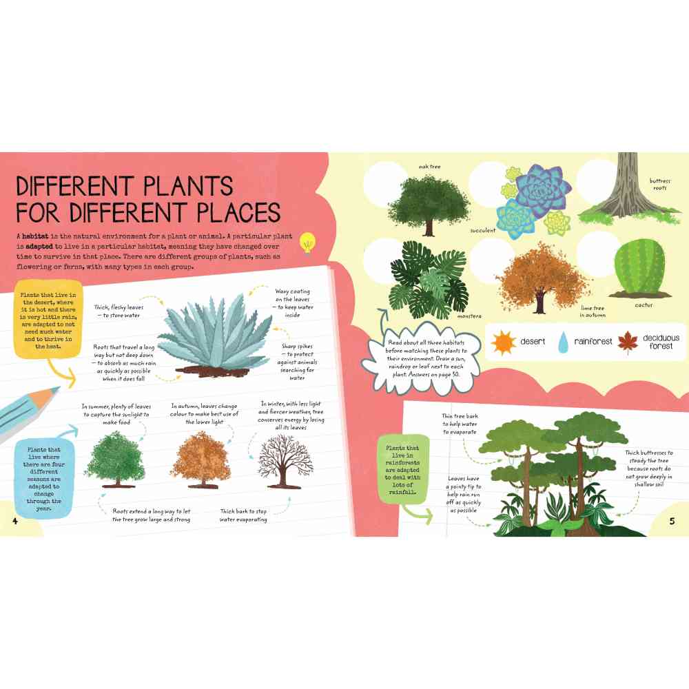 Stem Starters for Kids – Biology Activity Book