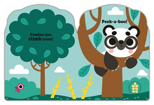I Am A Panda