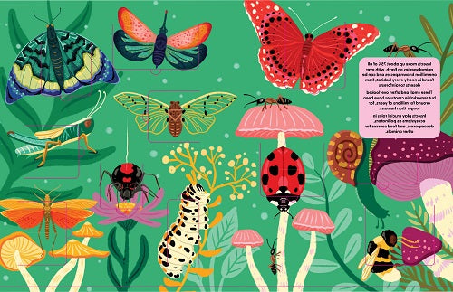 Lift The Fact Insects