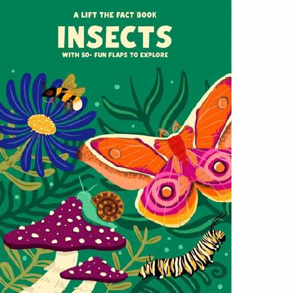 Lift The Fact Insects
