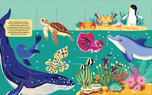 Lift the Fact Ocean LIfe