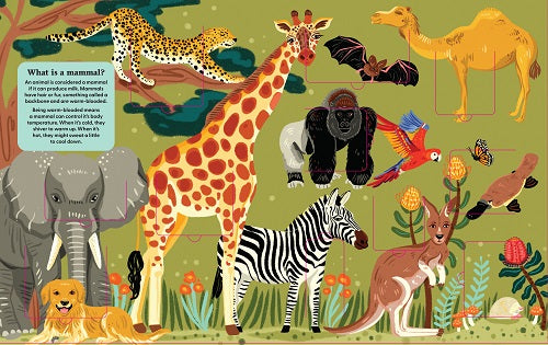 Lift The Fact Animals