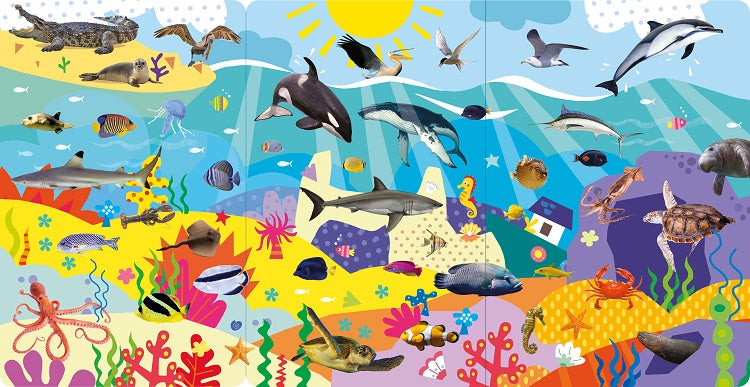 Look and Find Animal Word and Sounds