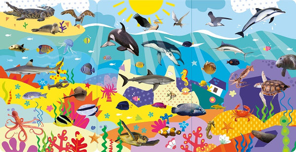 Look and Find Animal Word and Sounds