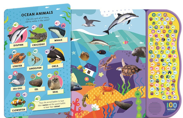 Look and Find Animal Word and Sounds