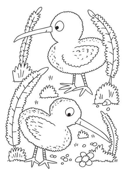 The Great Kiwi Colouring Book