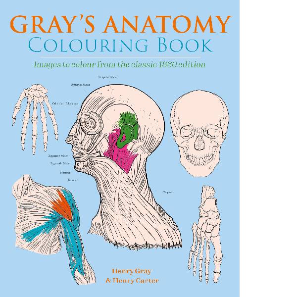 Grays Anatomy Colouring