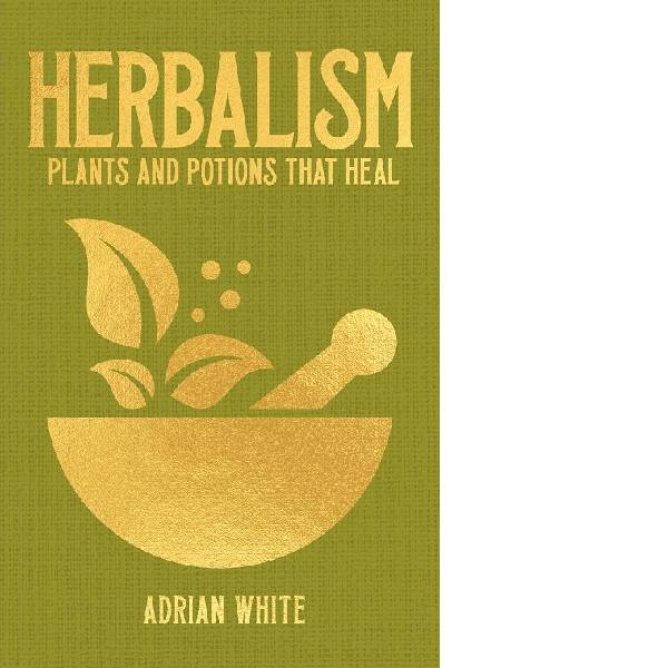 Herbalism – Plants and Potions That Heal