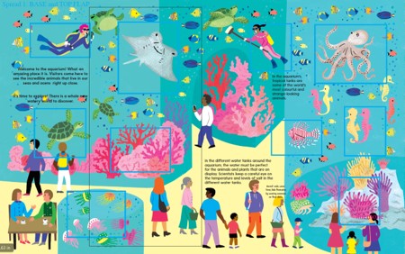 The Aquarium Lift The Flap Book