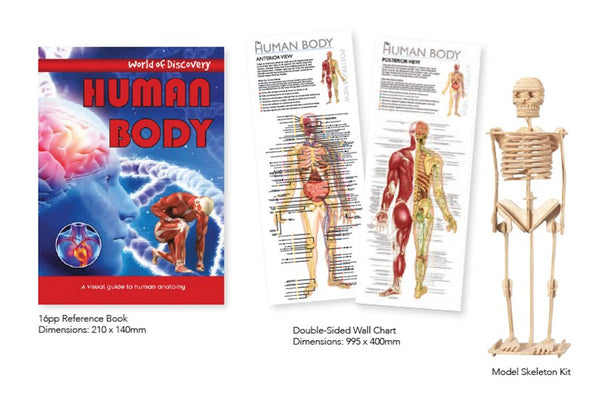 World Of Discovery Human Body