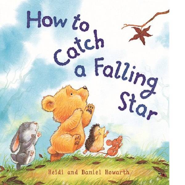 How To Catch A Falling Star