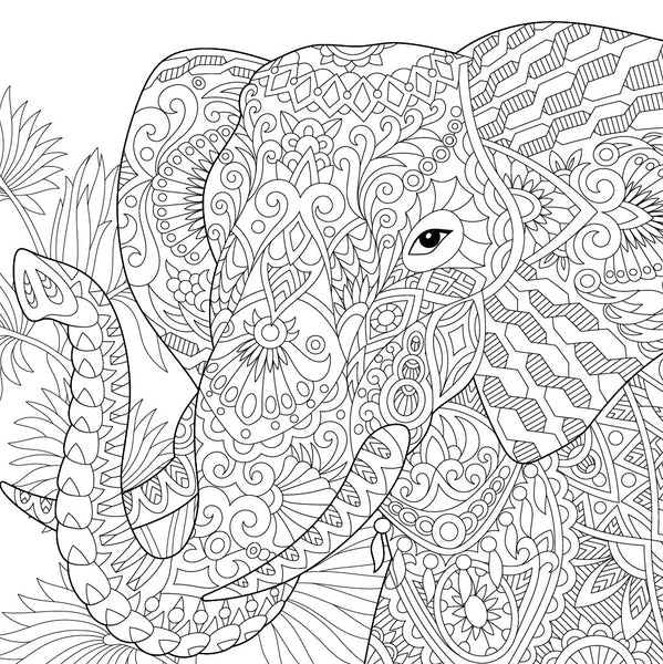 Wildlife Mandala Poster Art